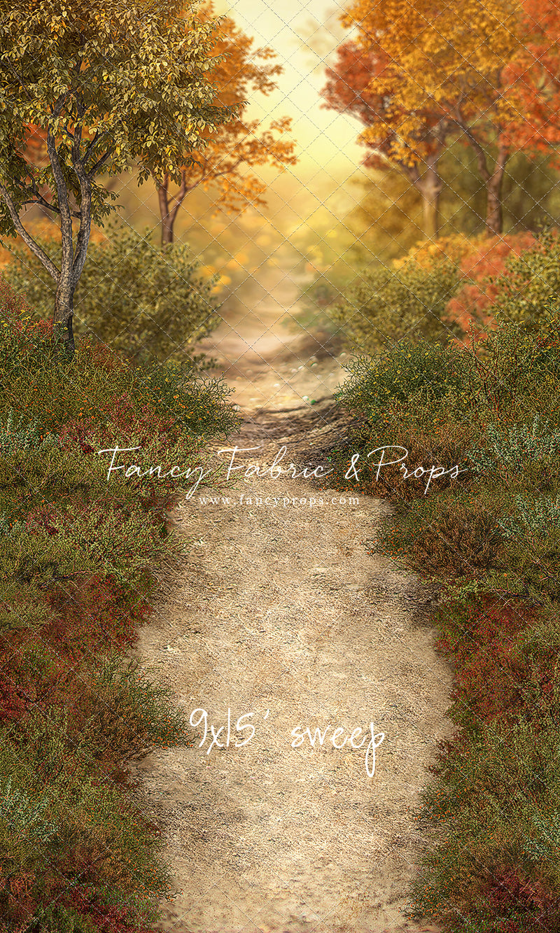 Autumn Forest Path - With Sweep Option