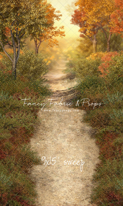 Autumn Forest Path - With Sweep Option