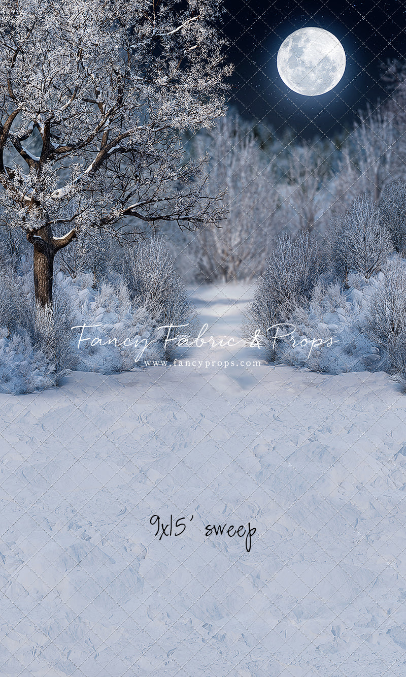 Frosty Winter Night - with Sweep Option