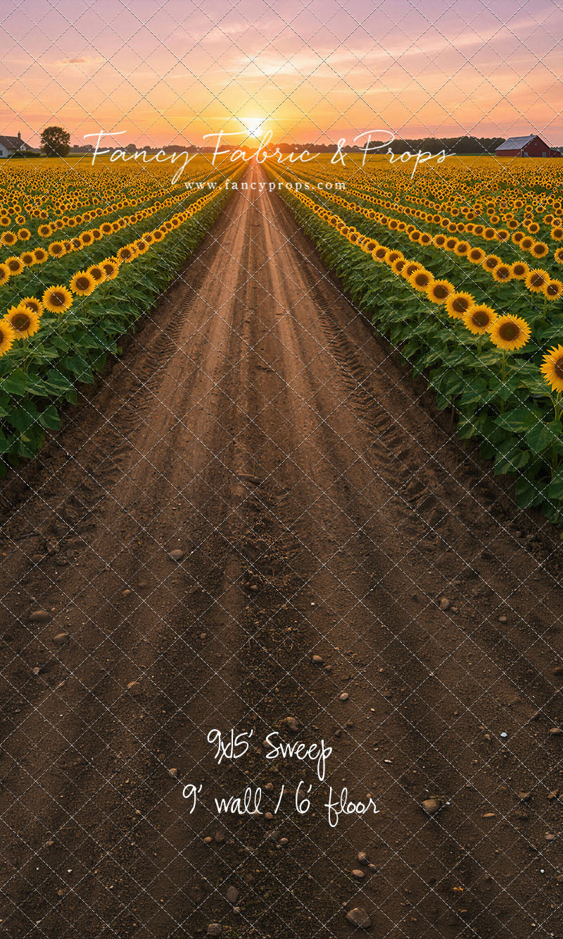 Sunflower Road - With Sweep Option