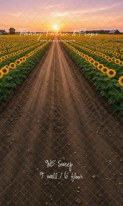 Sunflower Road - With Sweep Option