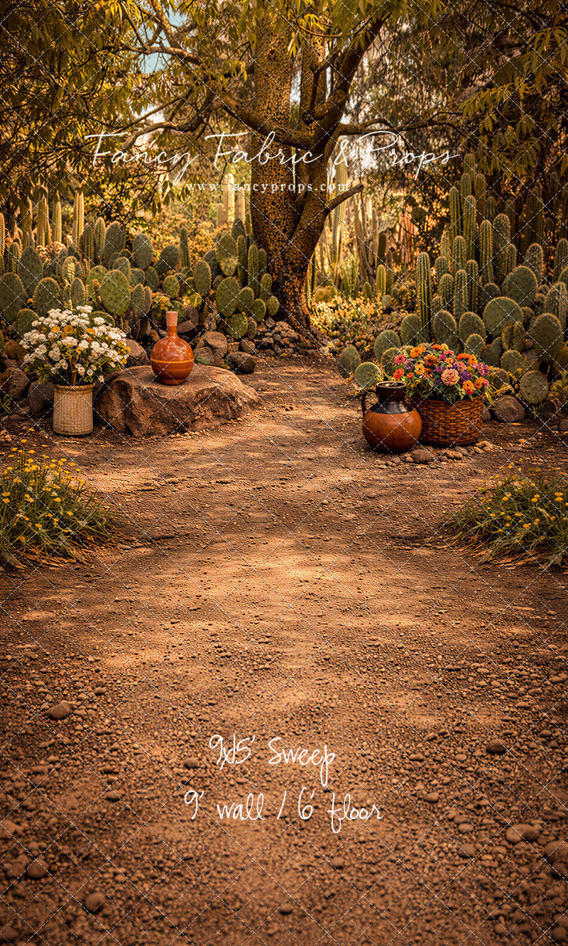 Sunlit Cactus Garden - With Sweep Option