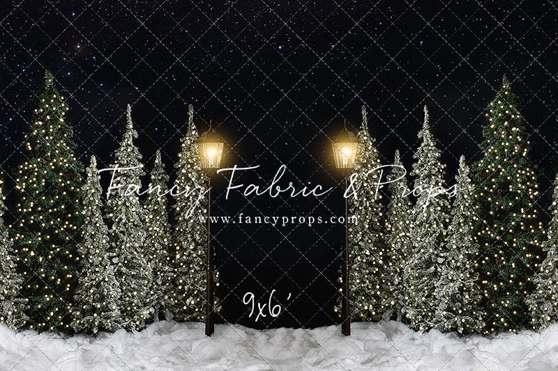 Christmas Forest Path