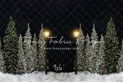 Christmas Forest Path