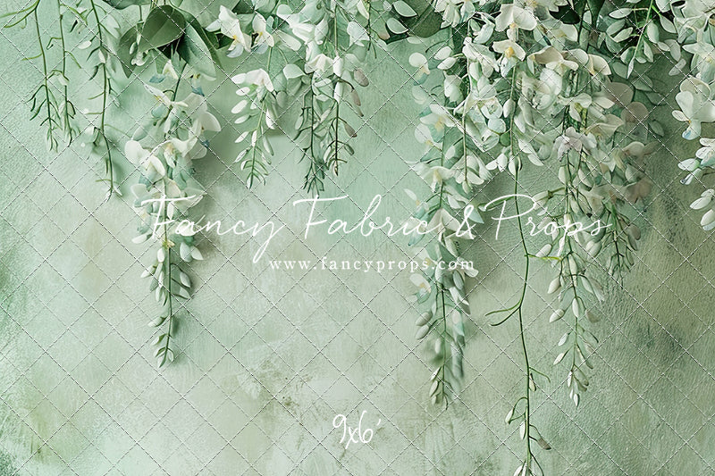 Painted White Wisteria