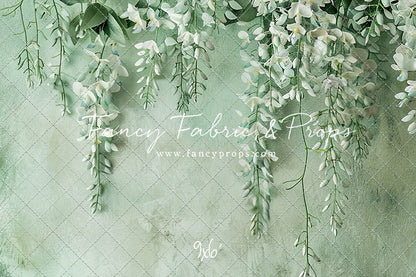 Painted White Wisteria