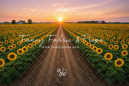 Sunflower Road - With Sweep Option