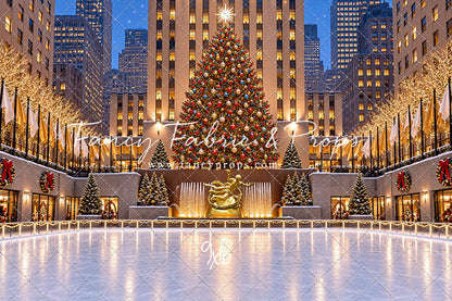 Wintertime Skating Rink - with Sweep Option