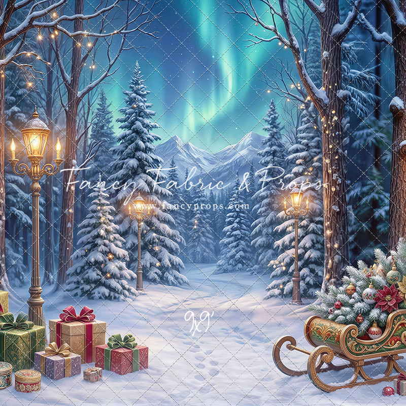 Aurora Winter Walk - with Sweep Option