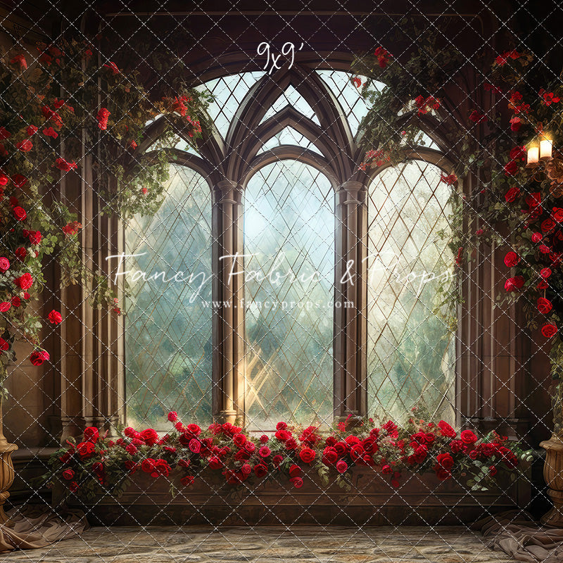 Belle's Castle Window