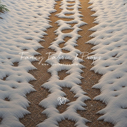 Christmas Path - Floor