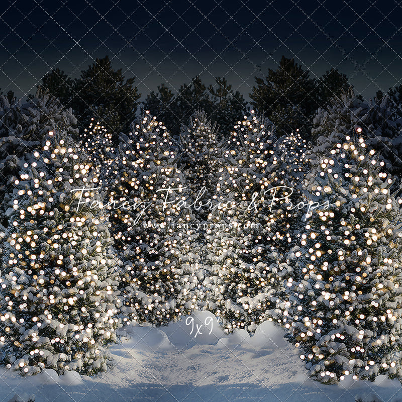 Evening Snowy Winter Tree Farm - No Gate