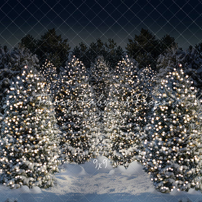 Evening Snowy Winter Tree Farm - No Gate