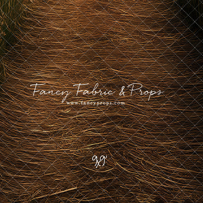 Fourth At The Fields Floor