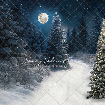 Santa Claus Candy Shop Forest