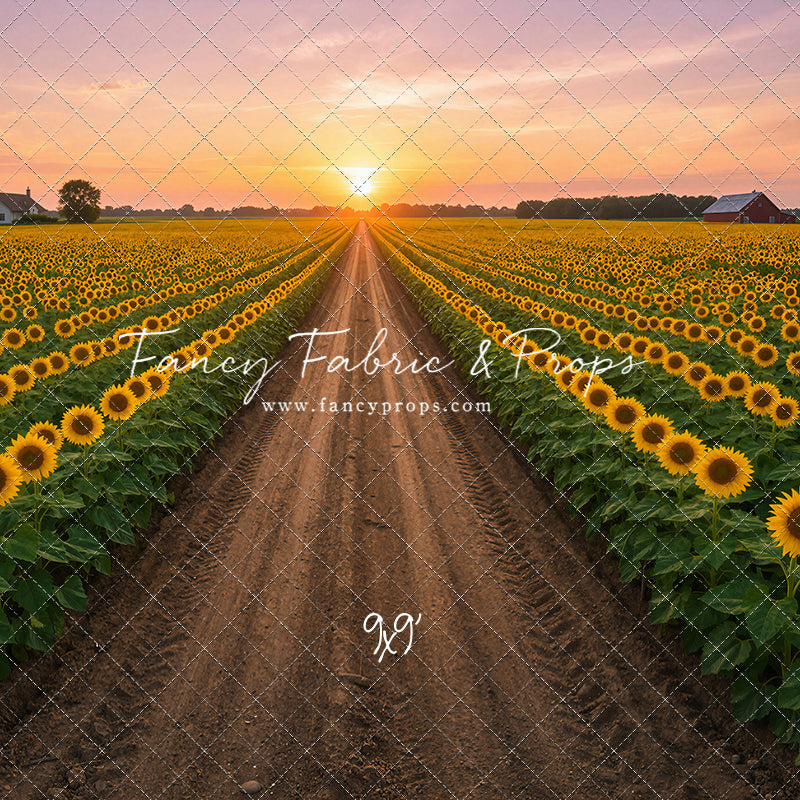 Sunflower Road - With Sweep Option