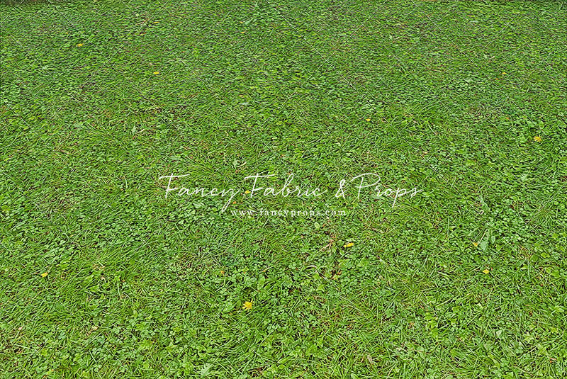 Cabin Retreat - Mat Floor