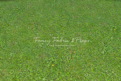 Cabin Retreat - Mat Floor