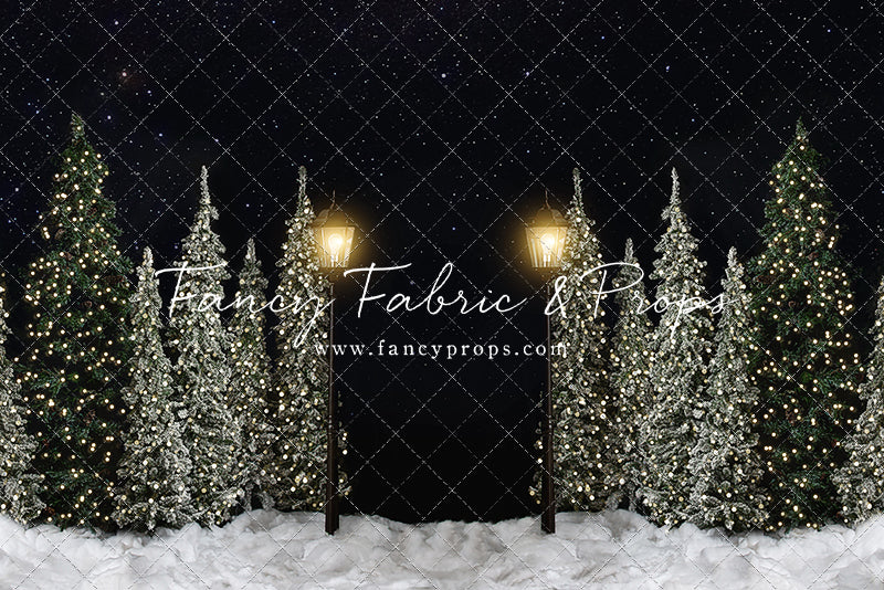 Christmas Forest Path