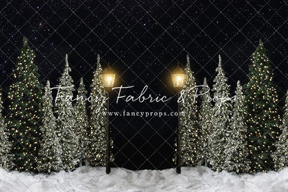 Christmas Forest Path