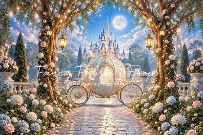 Cinderella's Carriage Castle - With Sweep Option