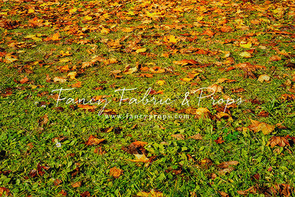 Daytime Grassy Fall Floor