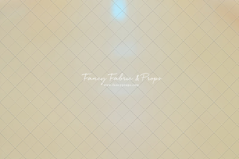 Elementary Hall Mat Floor