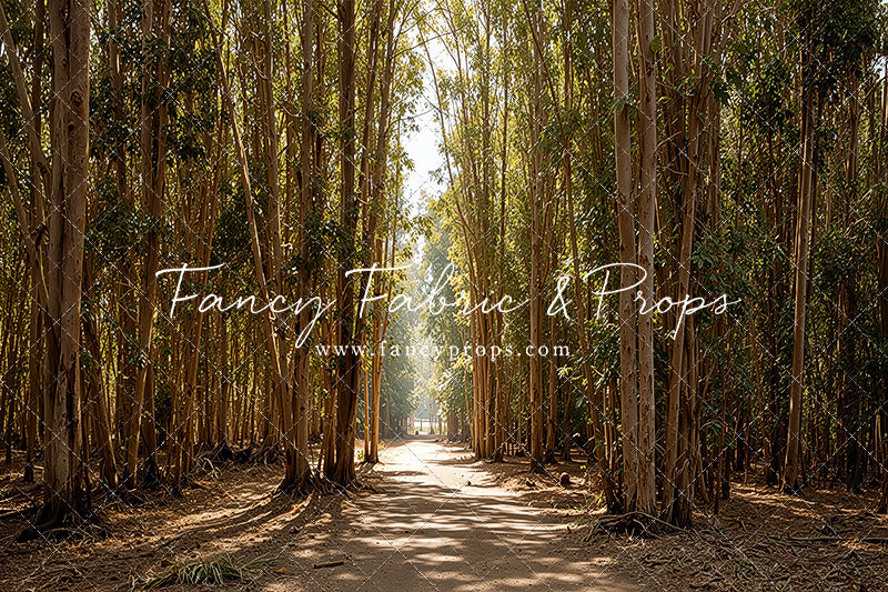 Eucalyptus Forest - With Sweep Option