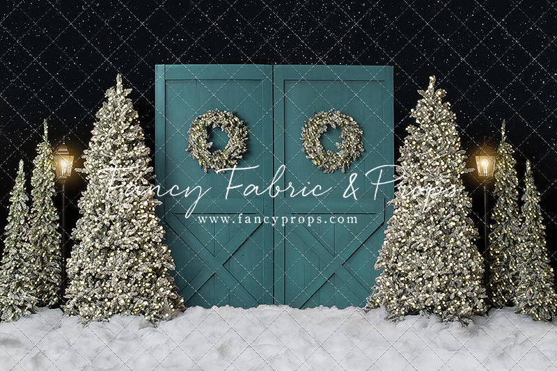 Fancy Blue Barn Doors
