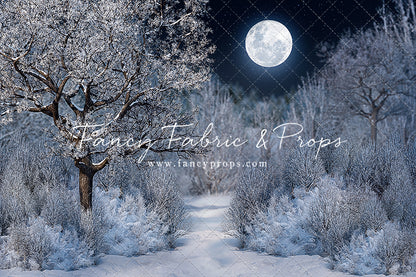 Frosty Winter Night - with Sweep Option