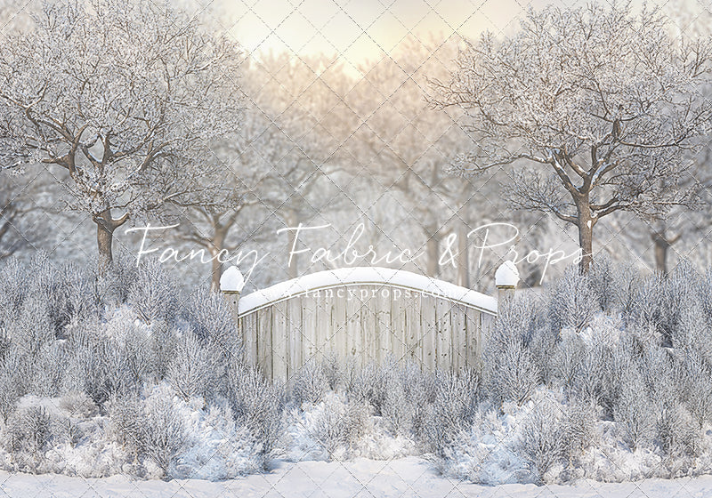 Icy Winter Gate