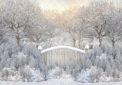 Icy Winter Gate