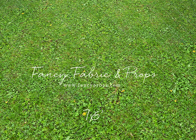 Floral Gate - Mat Floor