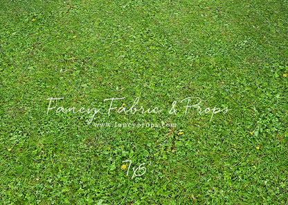 Floral Gate - Mat Floor