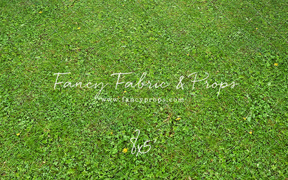 Floral Gate - Mat Floor