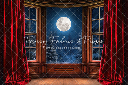 Midnight Christmas View