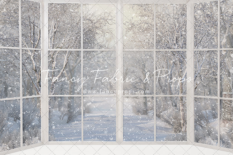 Morning Snowy Bay View