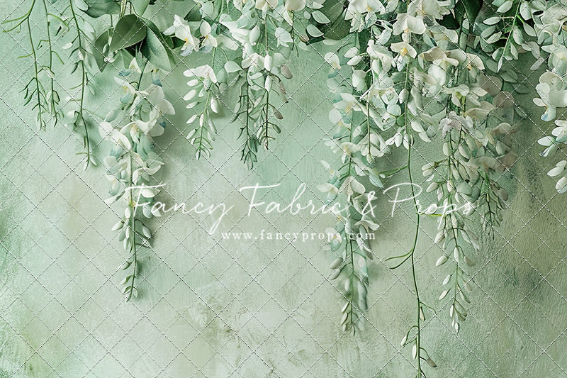 Painted White Wisteria