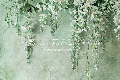 Painted White Wisteria