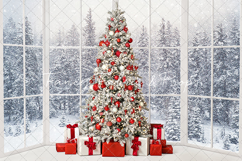 Red & White Winter Evergreens