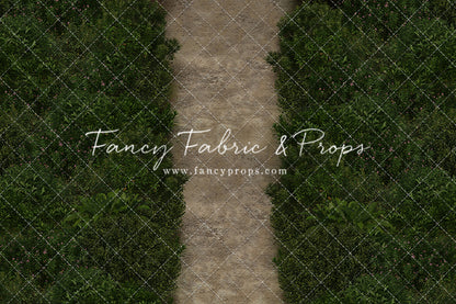 Rapunzel's Tower Path Mat Floor