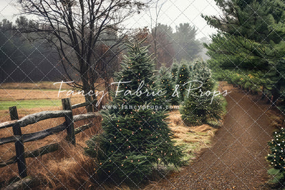 Rustic Tree Farm Trail