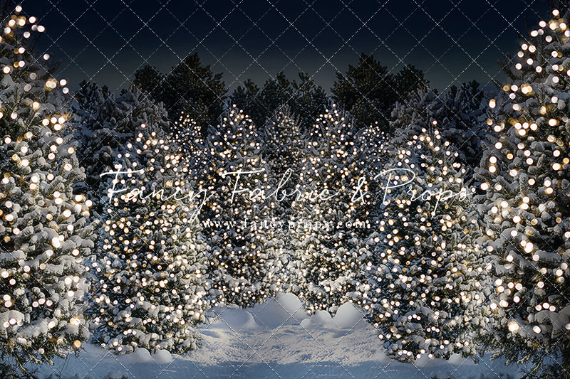 Evening Snowy Winter Tree Farm - No Gate