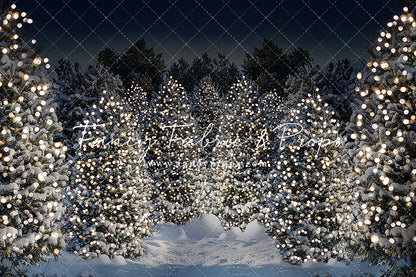 Evening Snowy Winter Tree Farm - No Gate