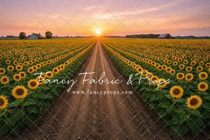 Sunflower Road - With Sweep Option