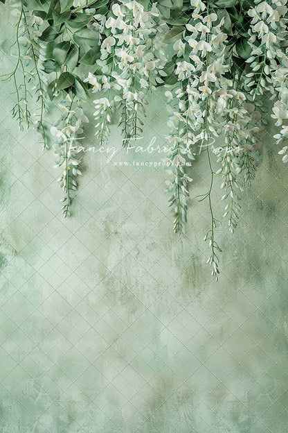Painted White Wisteria