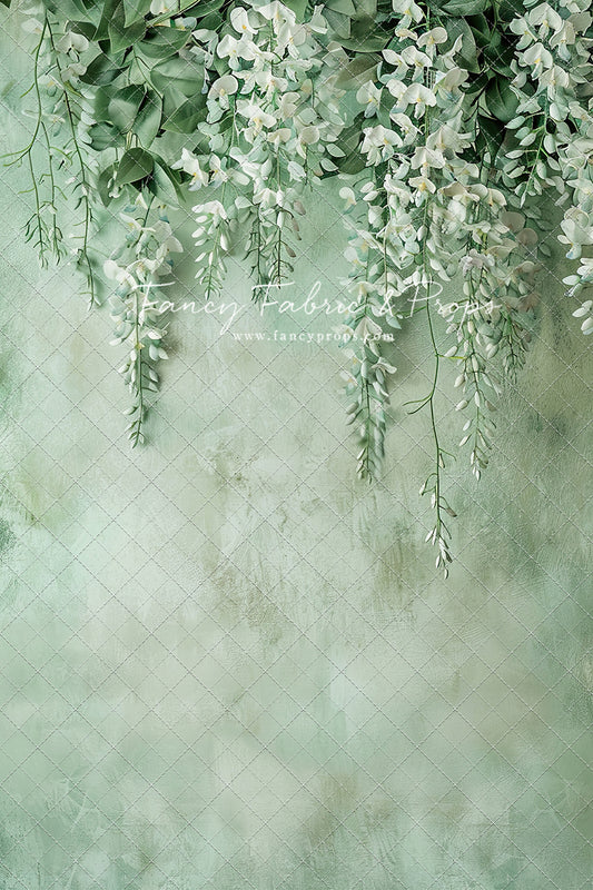 Painted White Wisteria