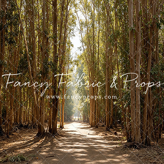 Eucalyptus Forest - With Sweep Option