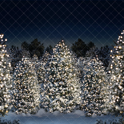 Evening Glimmering Tree Farm 2pc Room