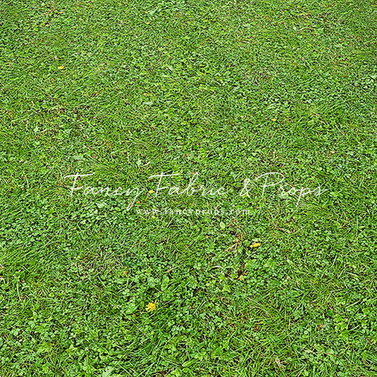 Floral Gate - Mat Floor